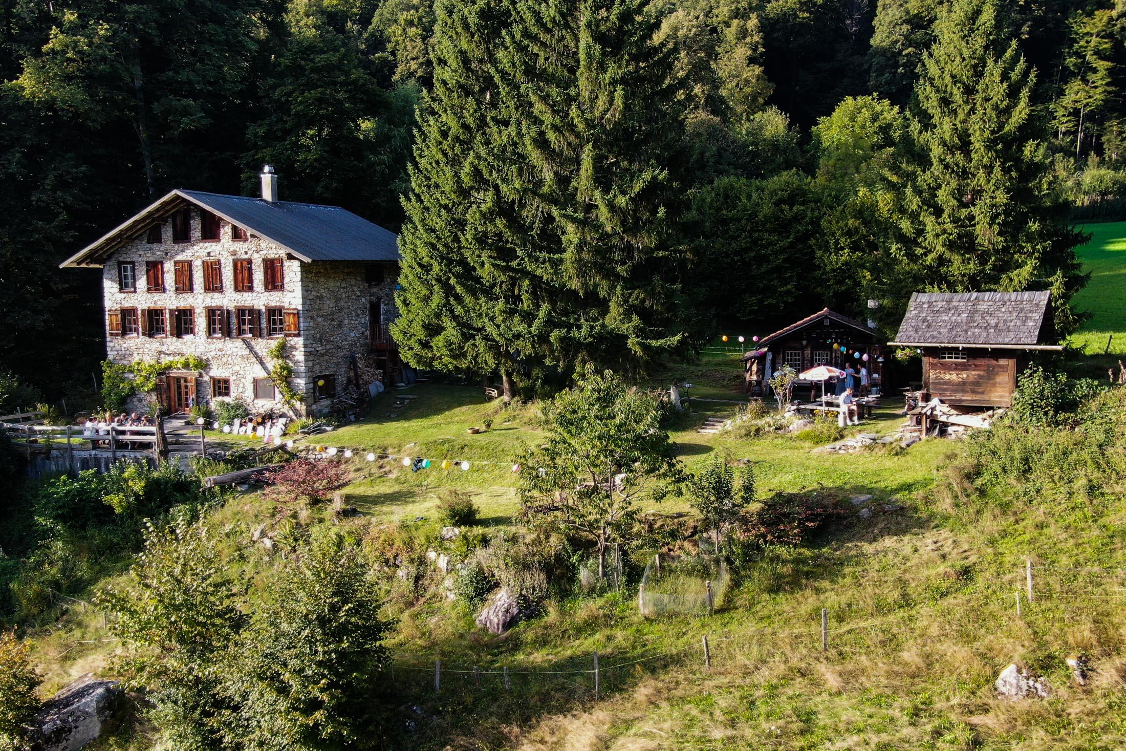 Das Rauft Gelände im Sommer